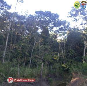São Miguel do Iguaçu: Operação da Polícia Ambiental resulta em multa de R$ 30 mil por desflorestamento ilegal