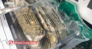 Cinco são presos com 157 buchas de cocaína, maconha e moto adulterada em Matelândia