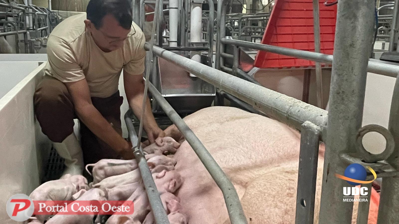 Curso de Medicina Veterinária da UDC Medianeira recebe conceito máximo do MEC e reforça posição de destaque na educação superior