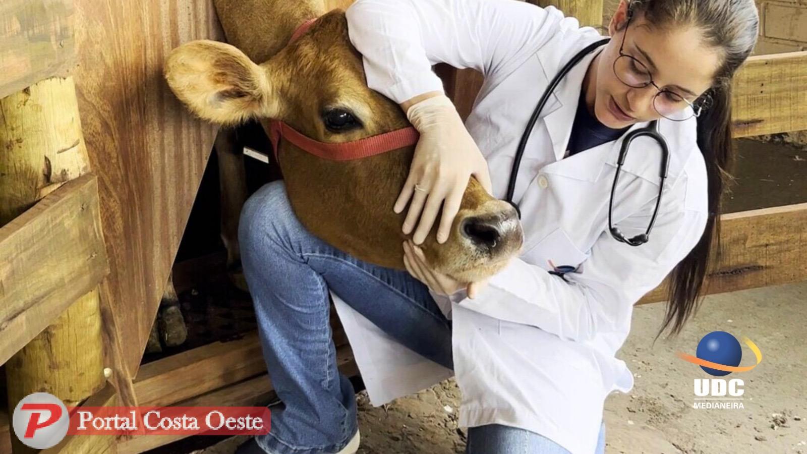 Curso de Medicina Veterinária da UDC Medianeira recebe conceito máximo do MEC e reforça posição de destaque na educação superior