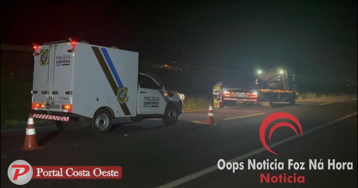Santa Terezinha de Itaipu: Motorista embriagado atropela e mata casal que coletava latinhas na BR-277