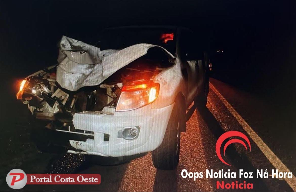 Santa Terezinha de Itaipu: Motorista embriagado atropela e mata casal que coletava latinhas na BR-277