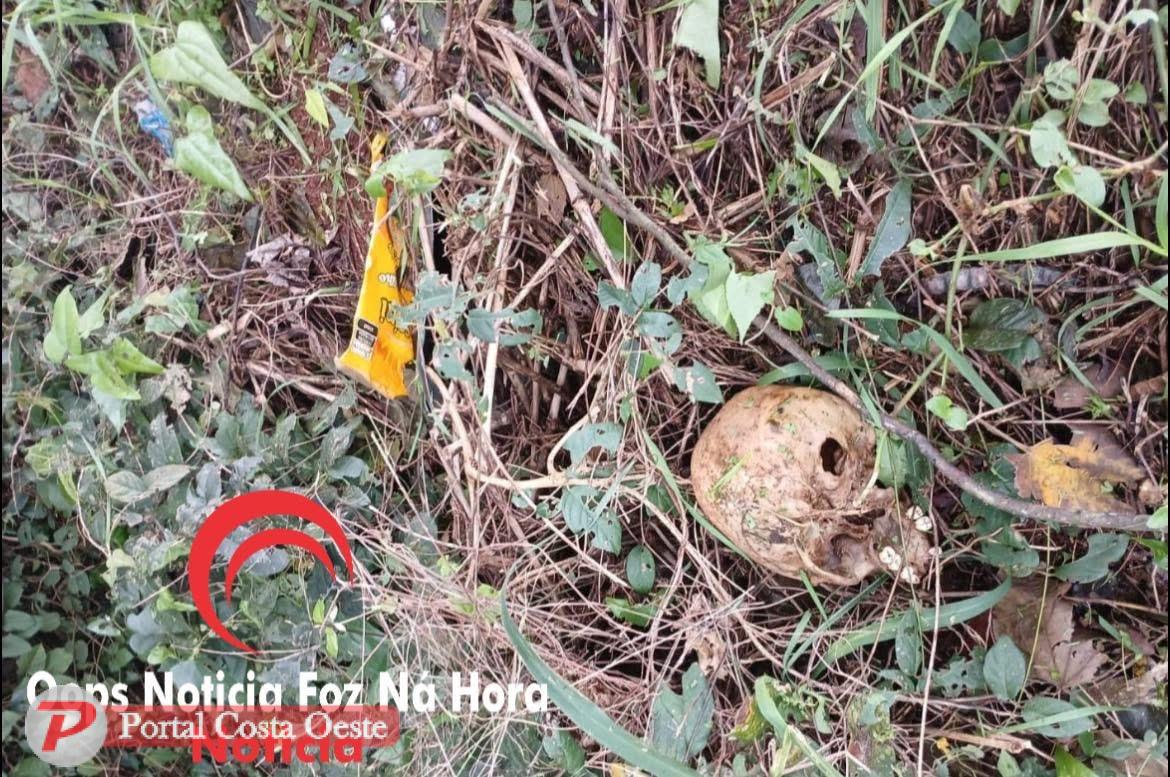 Ossada humana é encontrada às margens da BR-277 em São Miguel do Iguaçu
