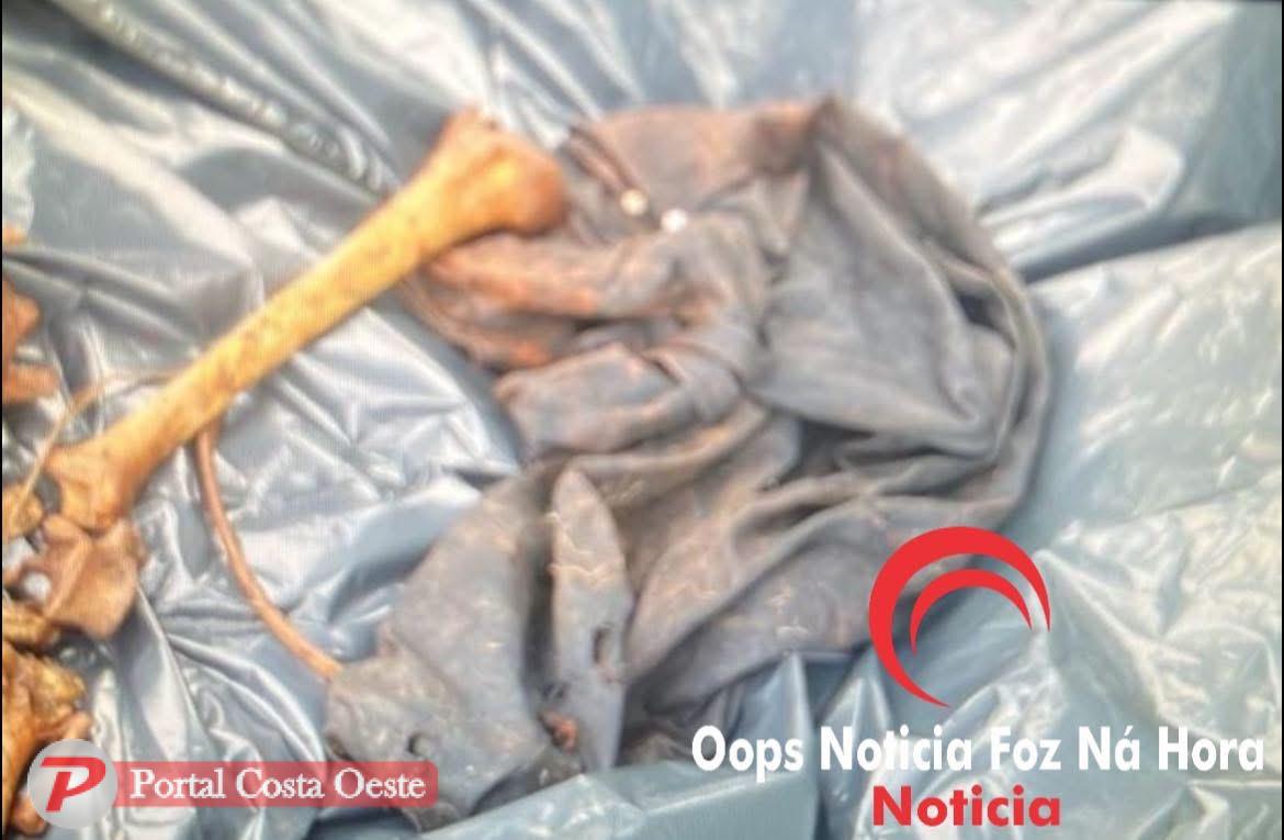 Ossada humana é encontrada às margens da BR-277 em São Miguel do Iguaçu