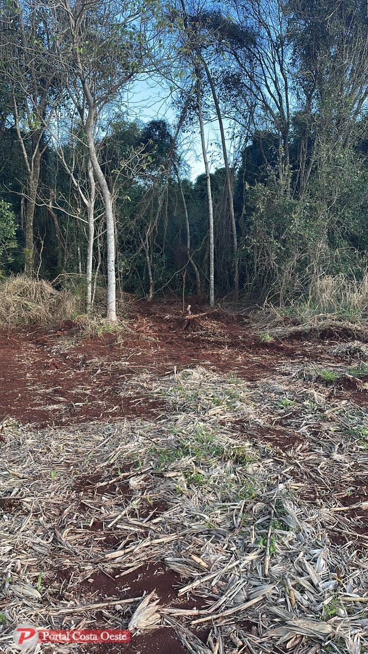 São Miguel: Ação integrada apreende trator usado em suposto apoio a portos clandestinos