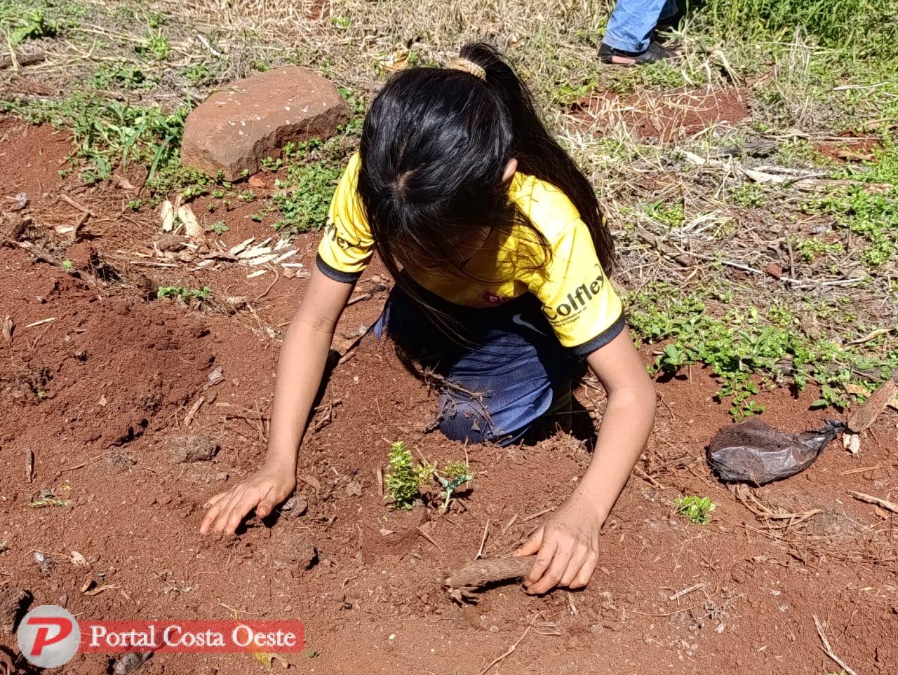 ONG VPV realiza plantio de mudas na Aldeia Indígena Yva Renda em celebração ao Dia da Árvore