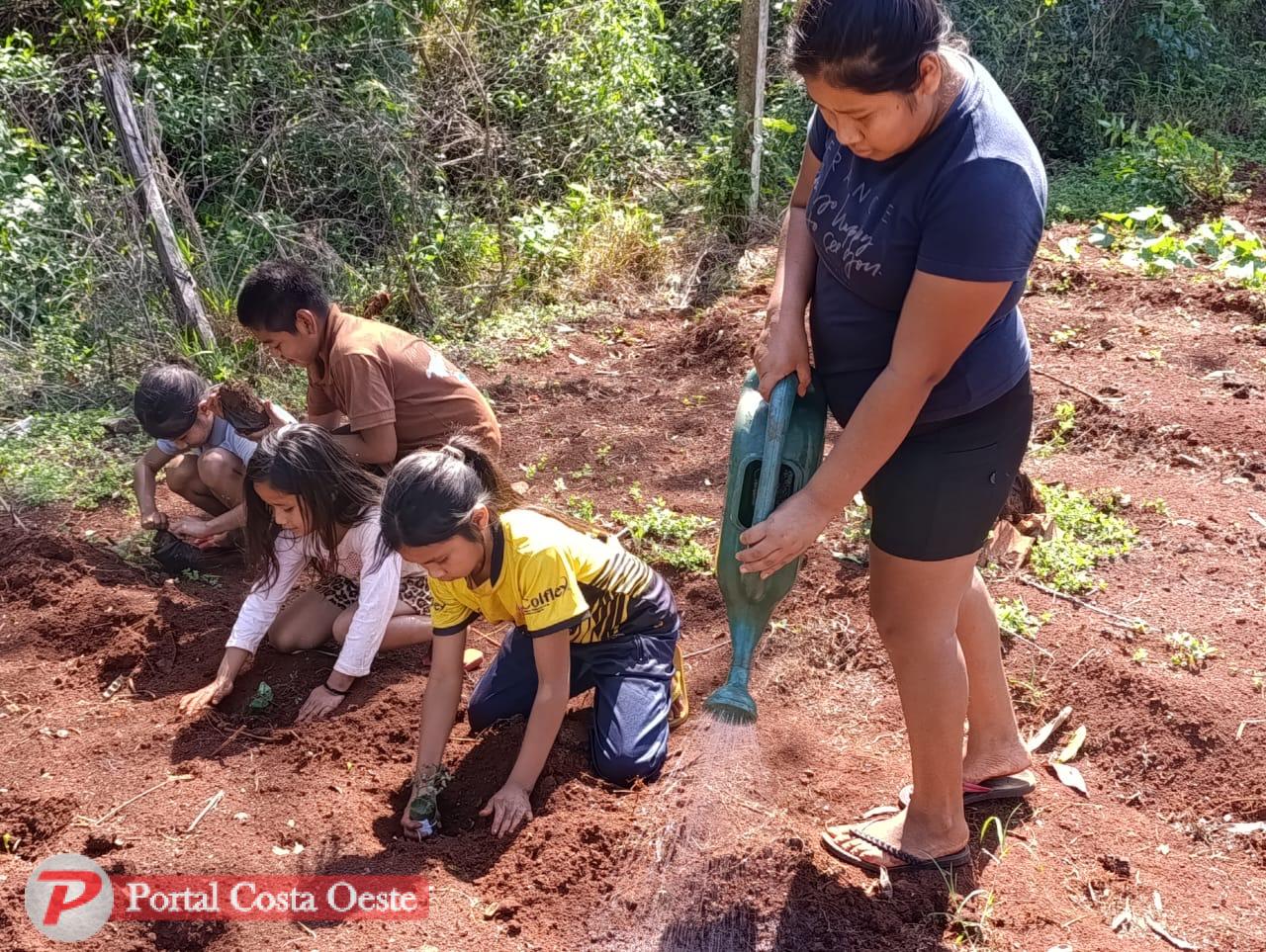 ONG VPV realiza plantio de mudas na Aldeia Indígena Yva Renda em celebração ao Dia da Árvore
