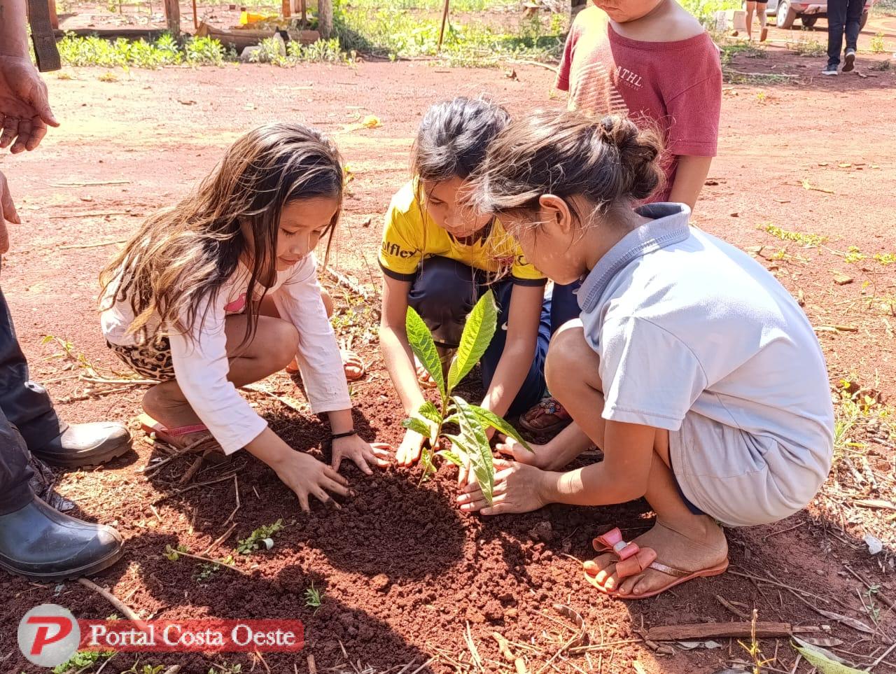 ONG VPV realiza plantio de mudas na Aldeia Indígena Yva Renda em celebração ao Dia da Árvore