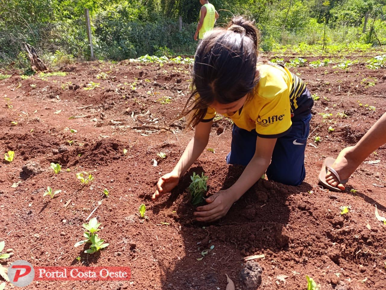 ONG VPV realiza plantio de mudas na Aldeia Indígena Yva Renda em celebração ao Dia da Árvore