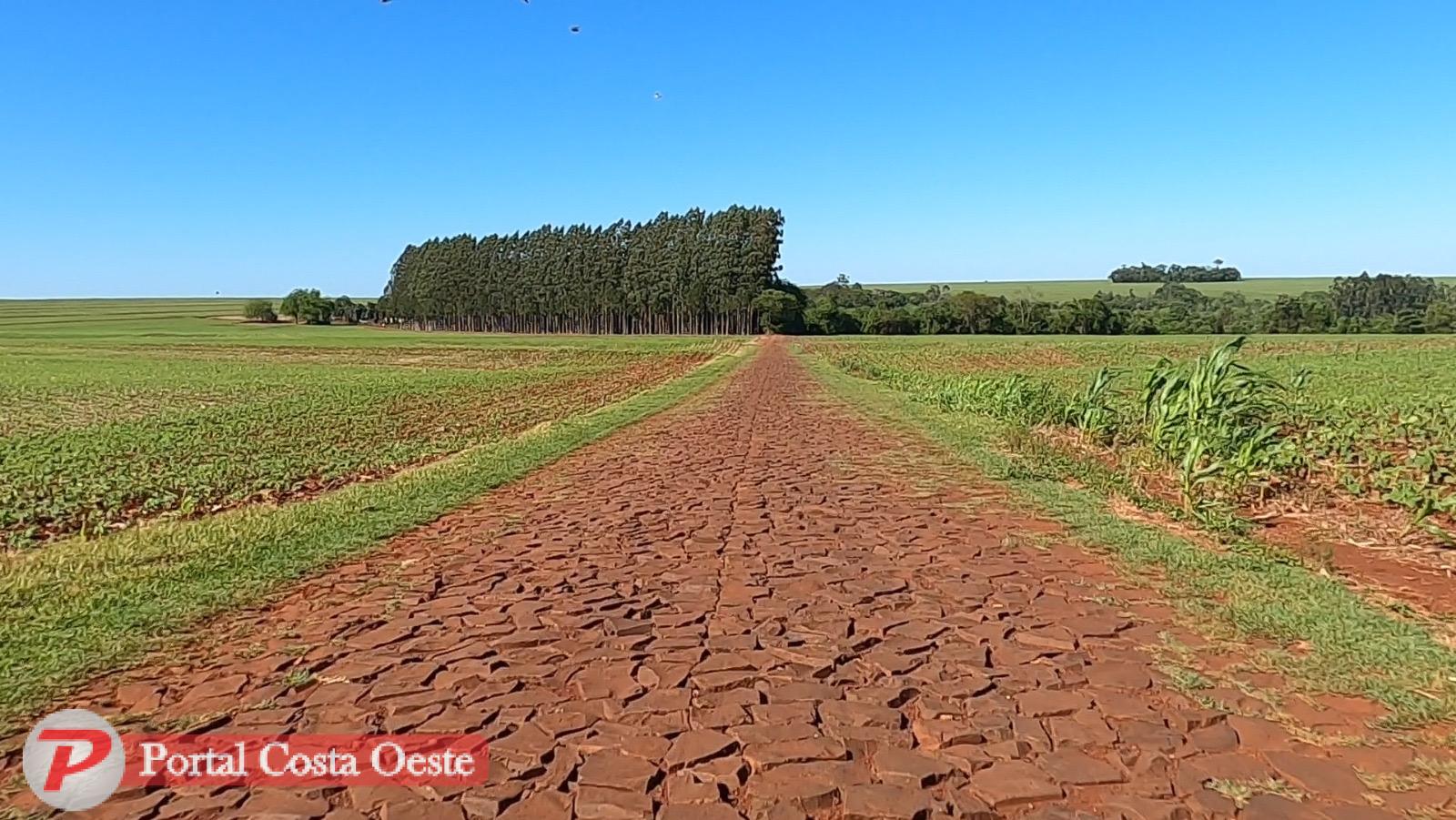 STI: Prefeitura revê legislação aprovada em 2023 e corrige impacto negativo sobre áreas rurais