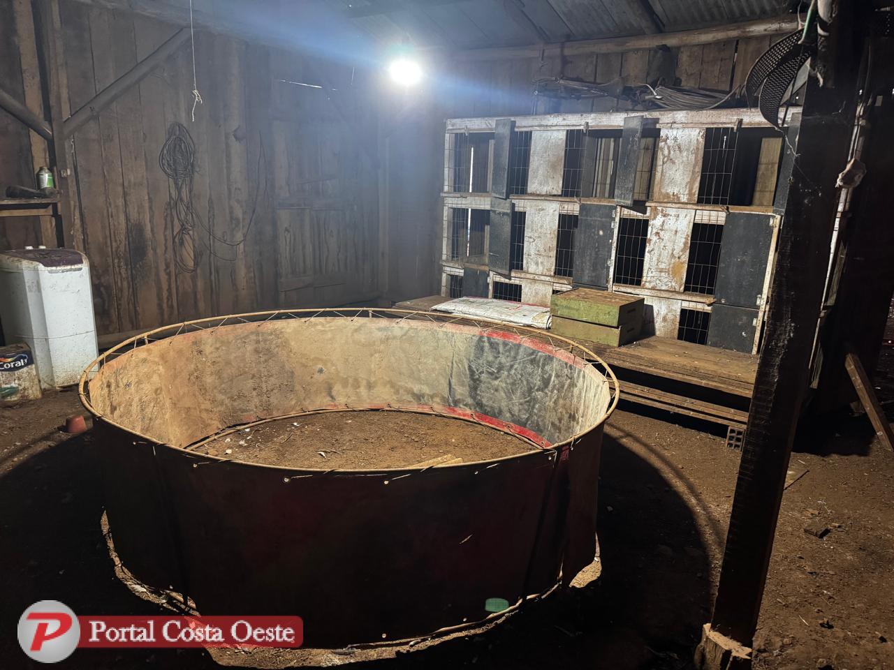 Operação da Polícia Federal desarticula grupo envolvido em caça ilegal, rinhas e tráfico em Céu Azul, Barracão e Dionísio Cerqueira