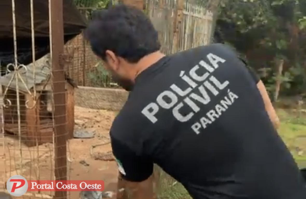 São Miguel: Cachorro é resgatado pela Polícia Civil após ser encontrado em situação de abandono