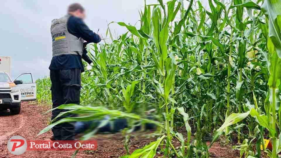 Homem é executado a tiros em milharal de Santa Terezinha de Itaipu