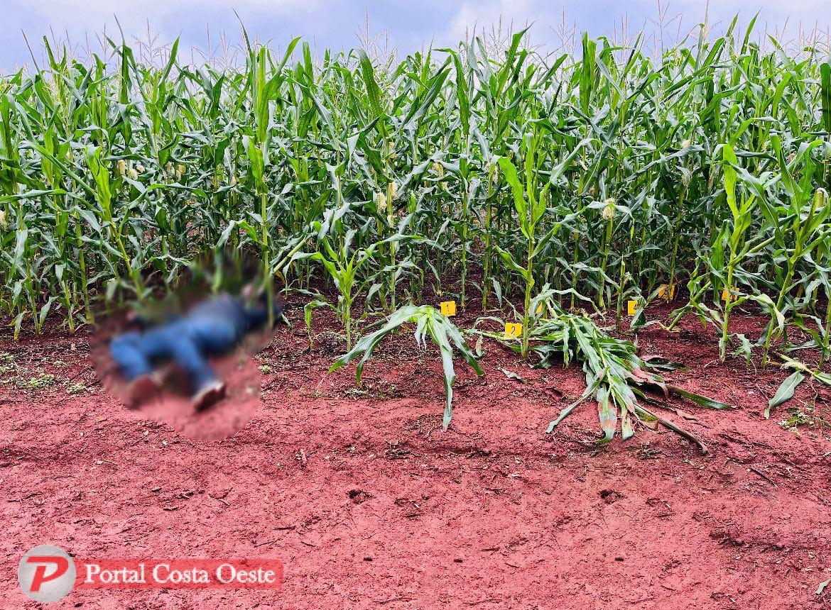 Homem é executado a tiros em milharal de Santa Terezinha de Itaipu